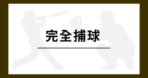 完全捕球 野球