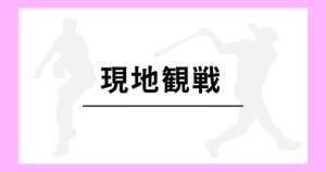 高校野球 現地観戦