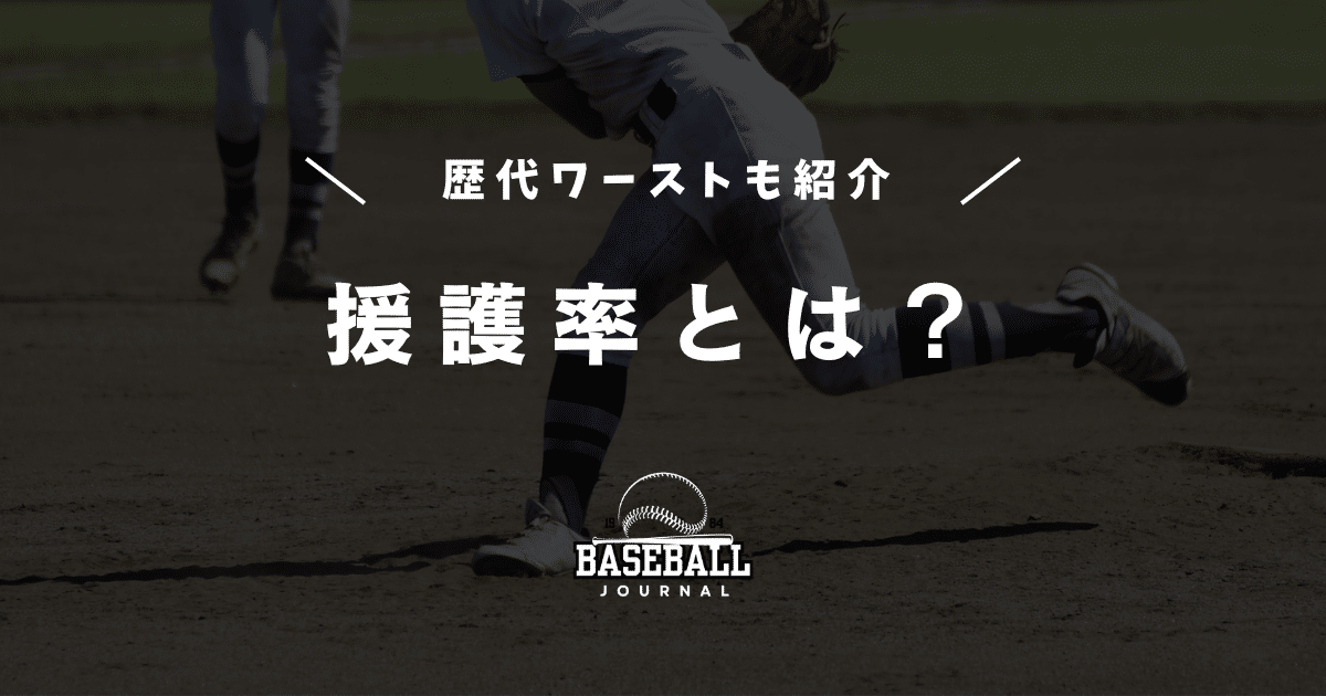 援護率とは