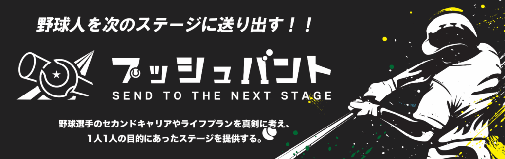 プッシュバント