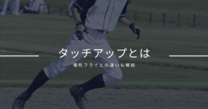 タッチアップ 犠牲フライ 違い